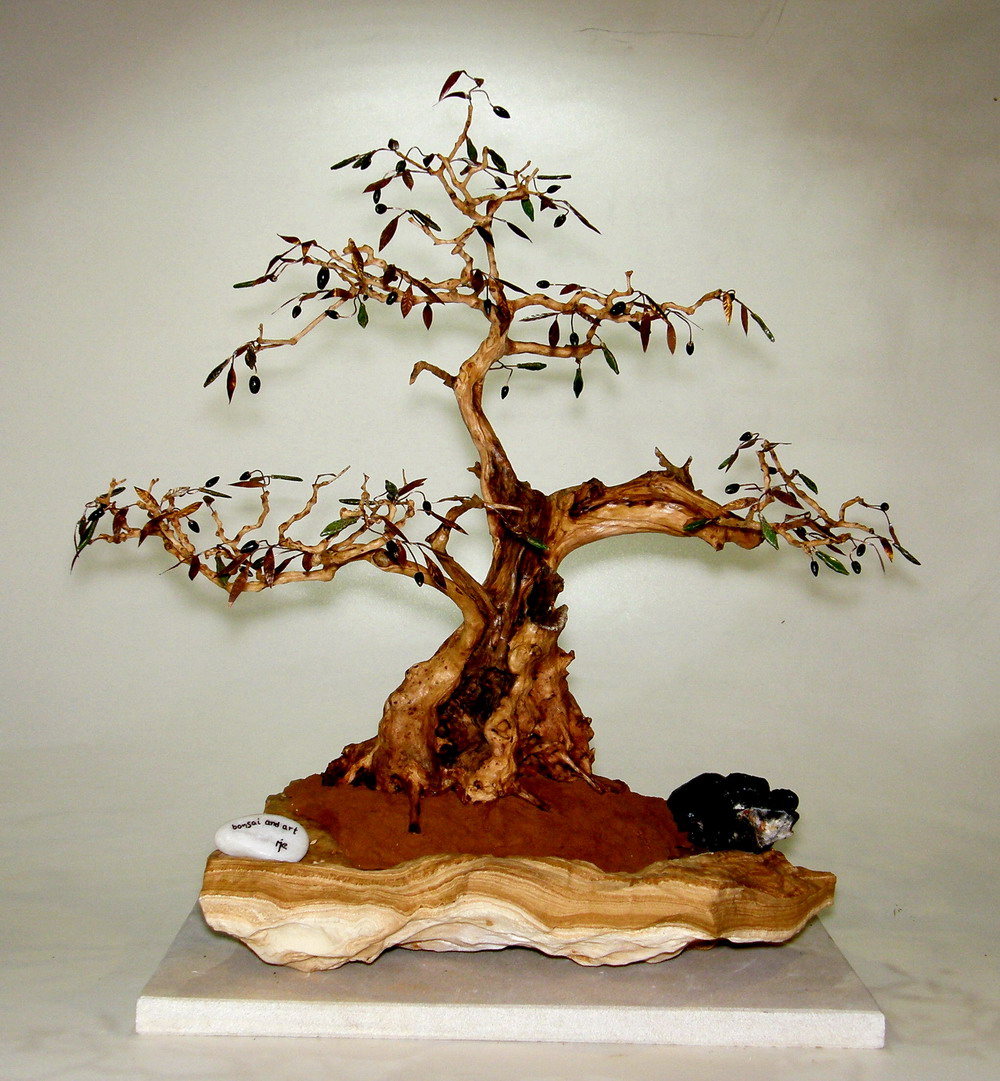 Olivenbaum unique